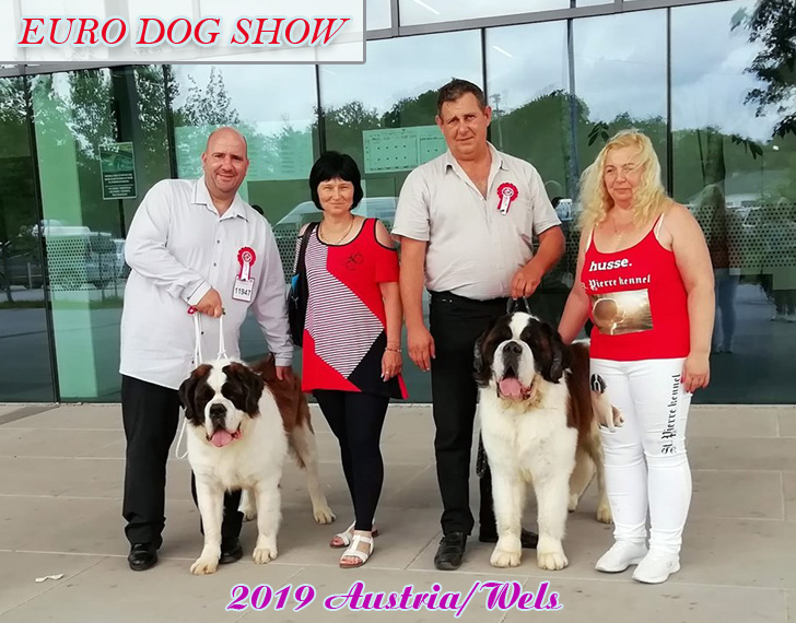 Euro Dog Show 2019 június - Wels