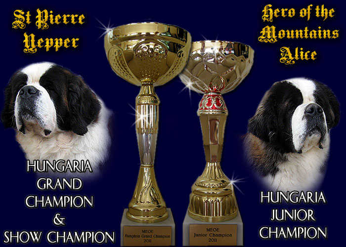 hungaria grand champion, hungaria show champion, hungaria junior champion